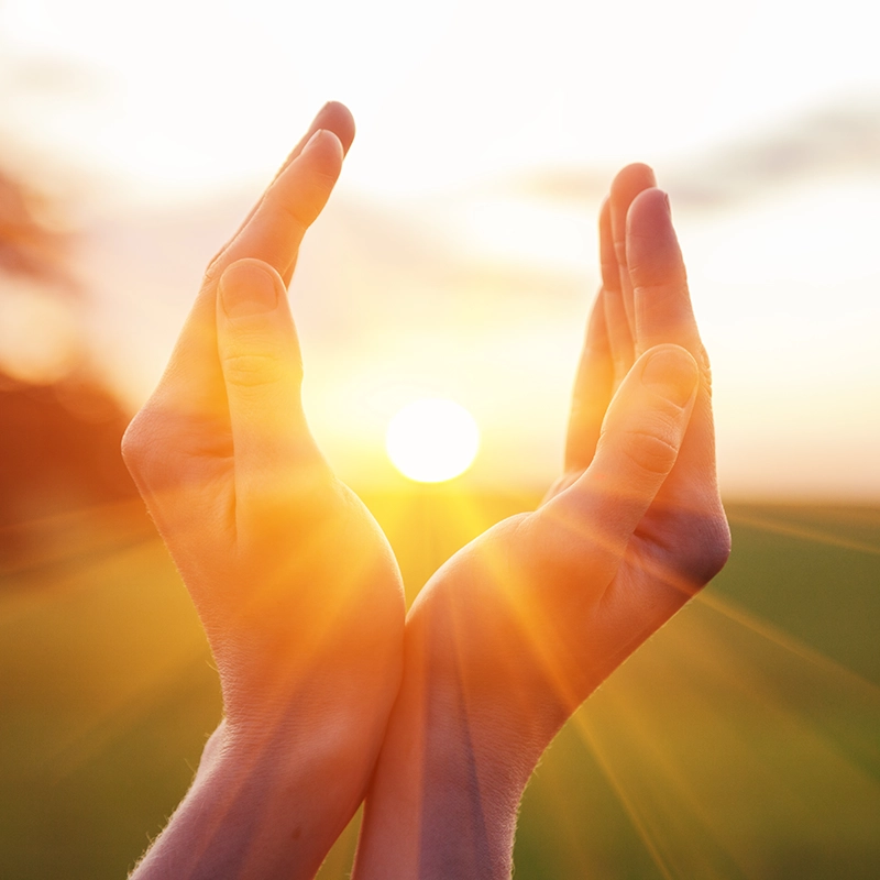 heros-hands cupping sunshine.webp