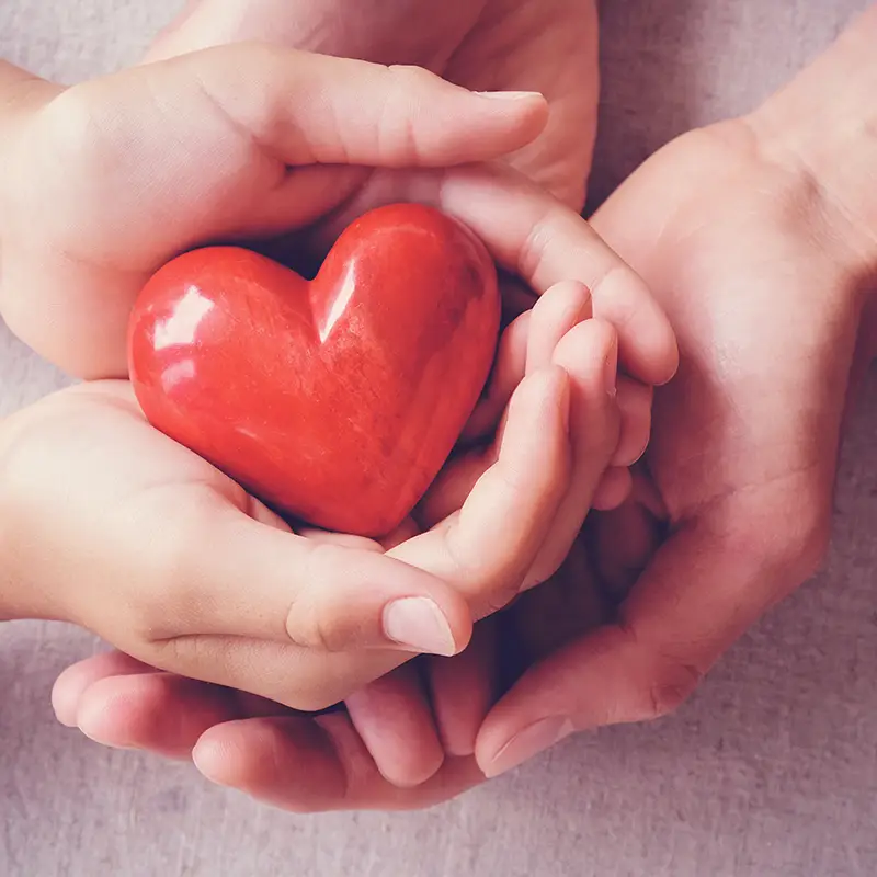Heart in children's hands 