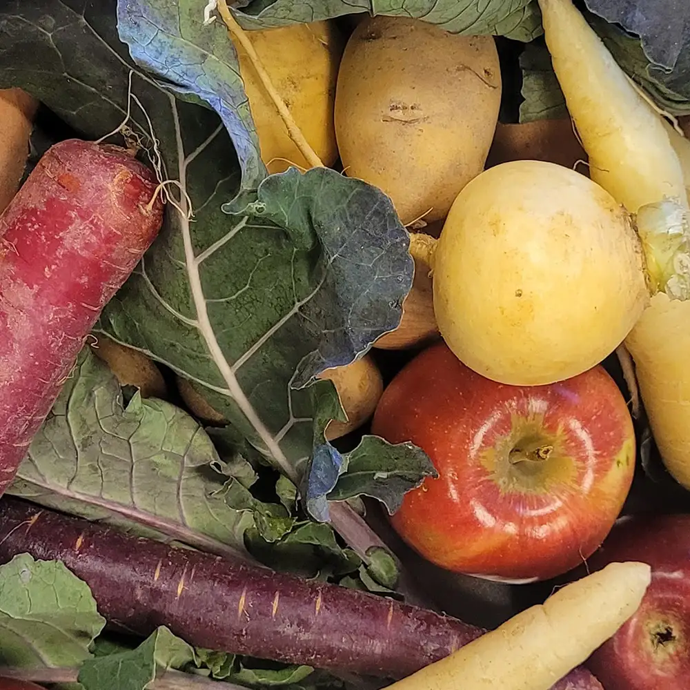 Fresh produce from Holcomb Farm (1000x1000px hero)