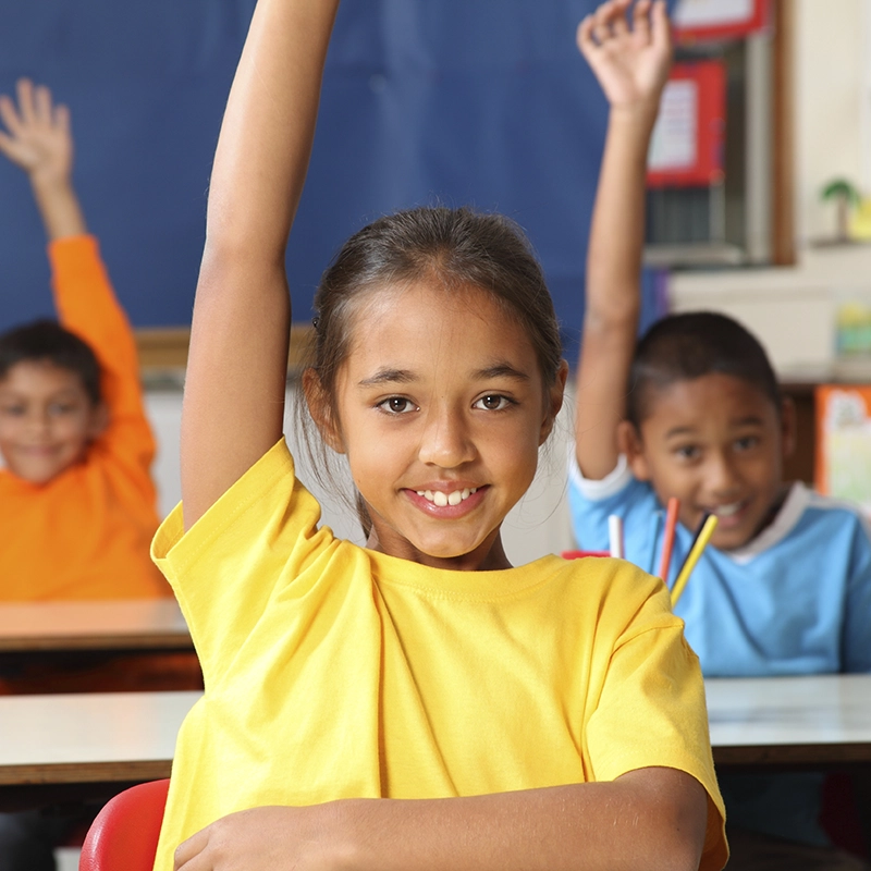 Students with hands raised in class (800x800)