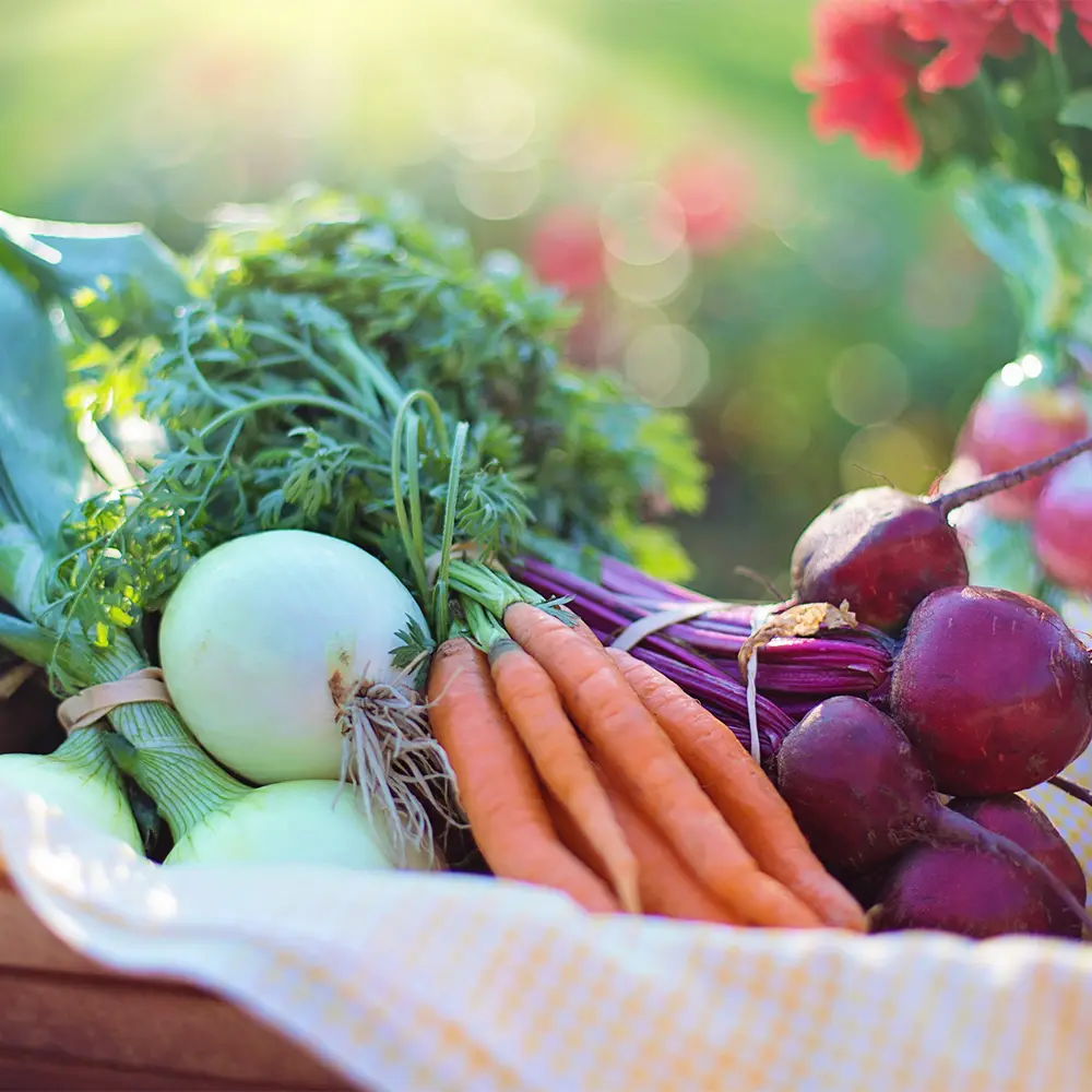 hero-farmtofamily.webp