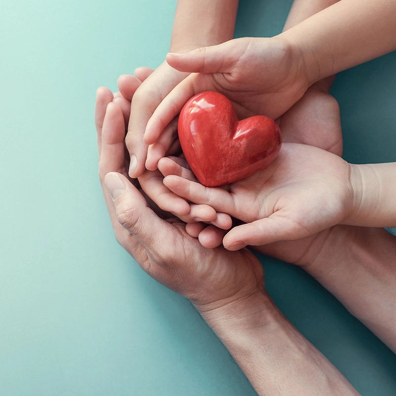 hero-hands and hearts teal.webp