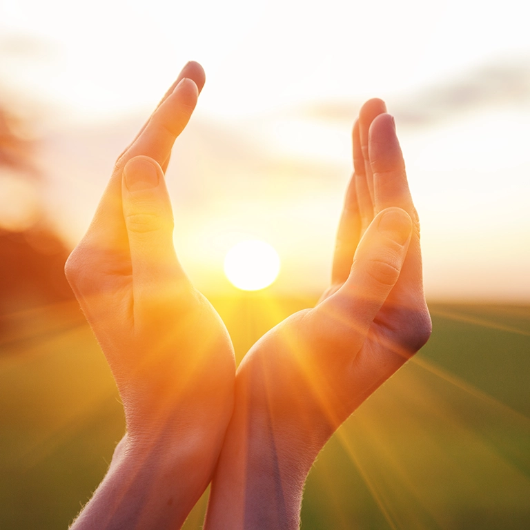 Hands cupping sunshine (768x768 accordion image)