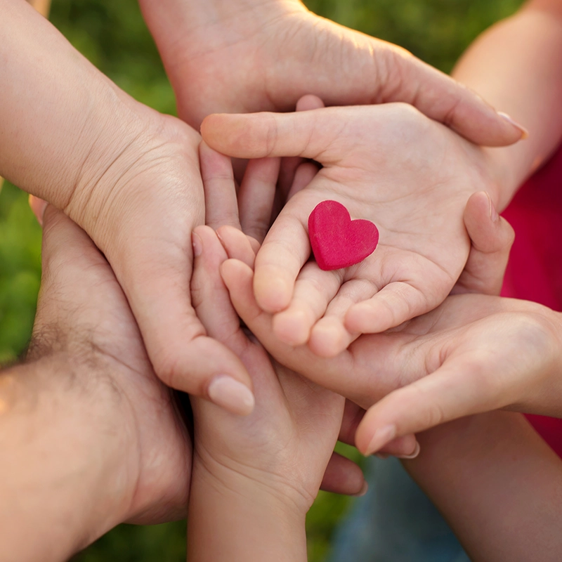 hero-hands holding a heart.webp